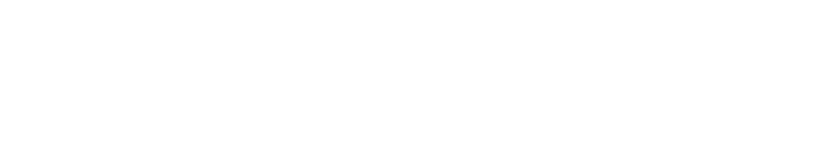 Praeview Logo